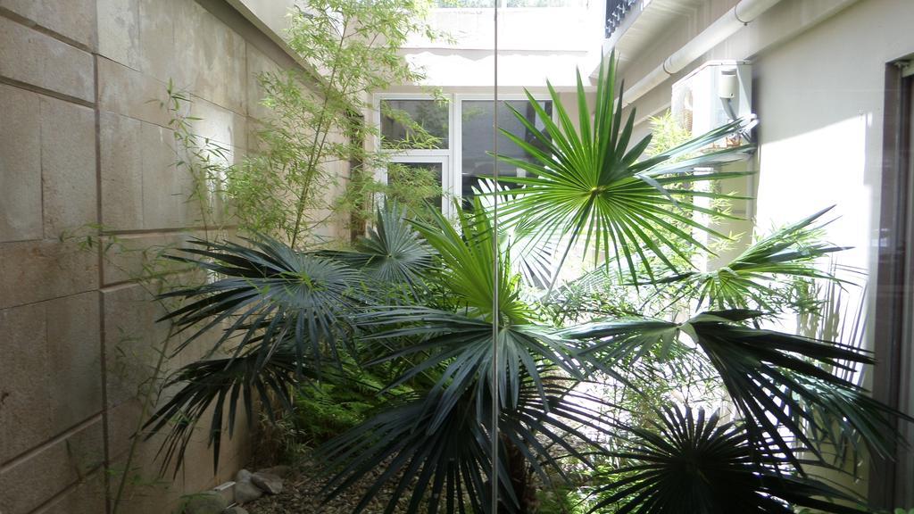 Hotel Barra أفيرو المظهر الخارجي الصورة